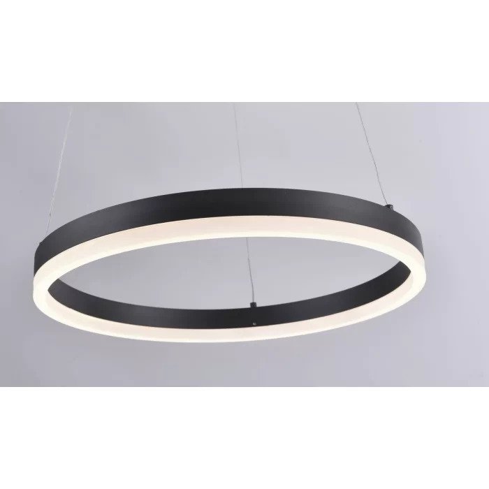 20238113 Ring Black Circular Pendant - Image 2
