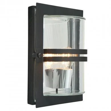BAS- B-C Black Outdoor Wall Light