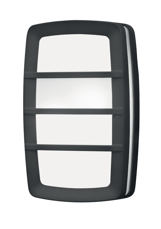 Wall Light Anthracite IP54