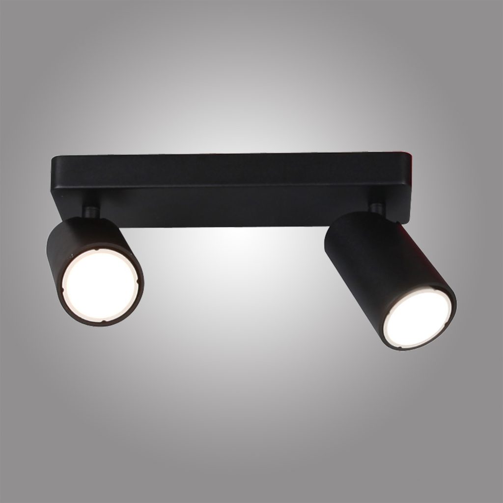2 Light Matt Black Spot Light