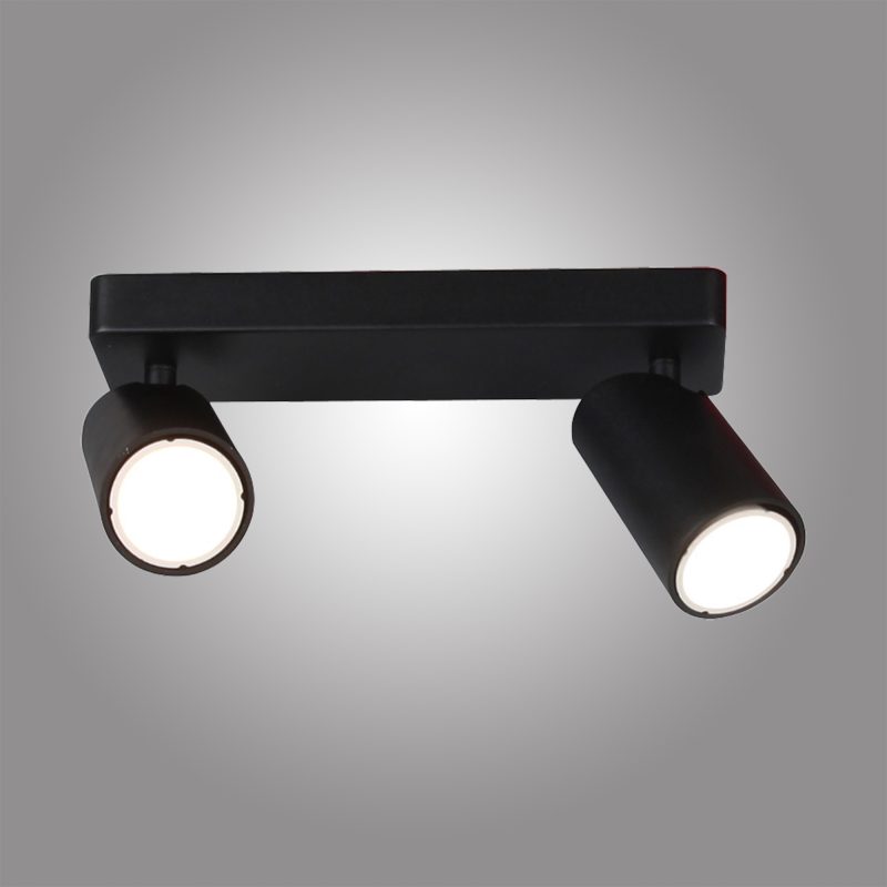 2 Light Matt Black Spot Light