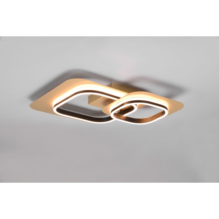 Black and Gold LED Ceiling Light