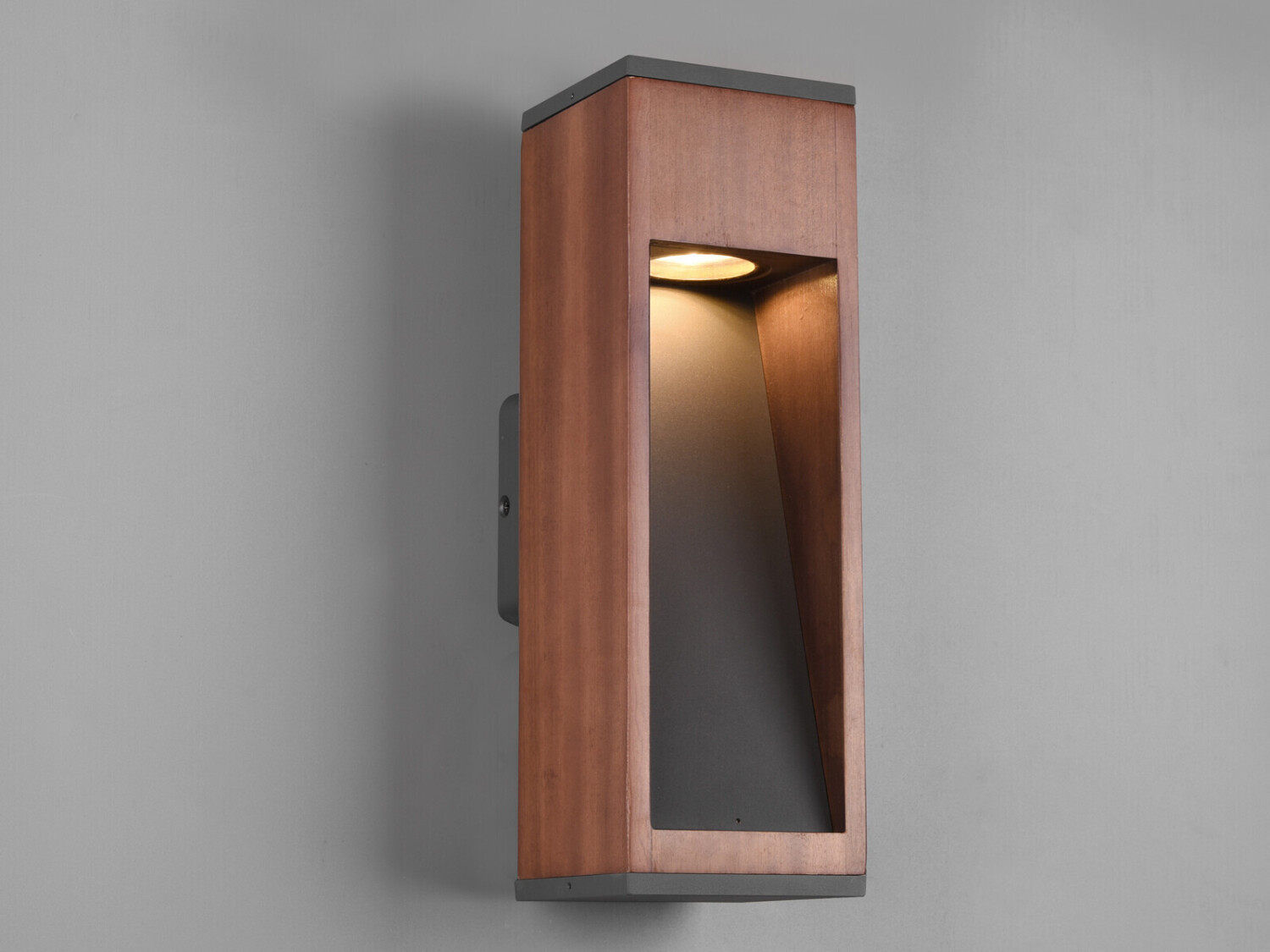 Tann 1 light wall light