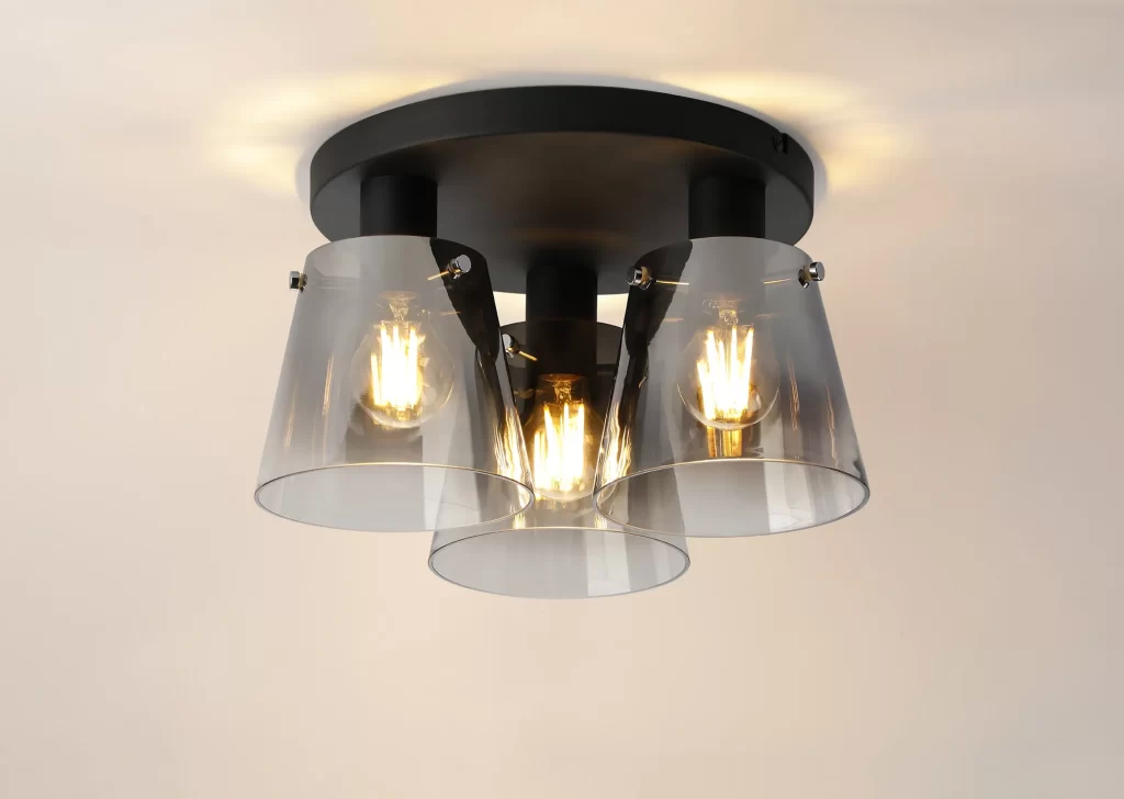 Modern Black Flush Light| Black Ceiling Lights